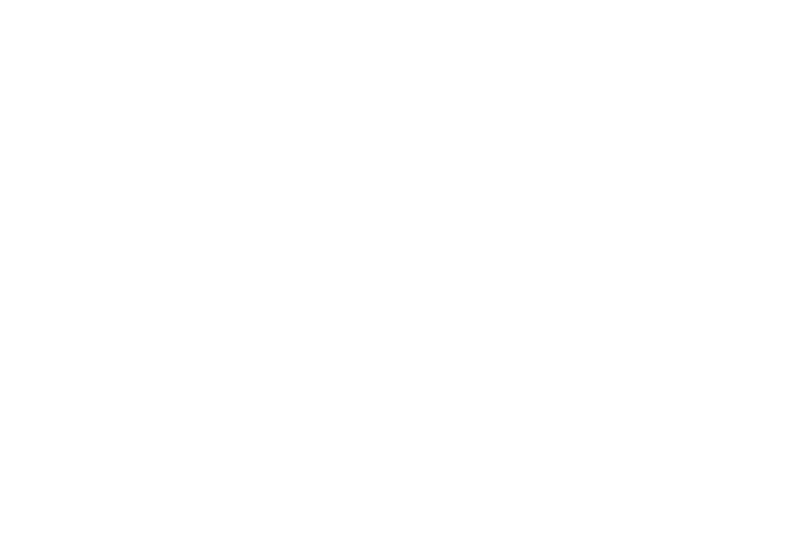AIM Auto